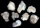 Natural Chalcedony Nodules Wholesale Lot - Pieces #61825-1